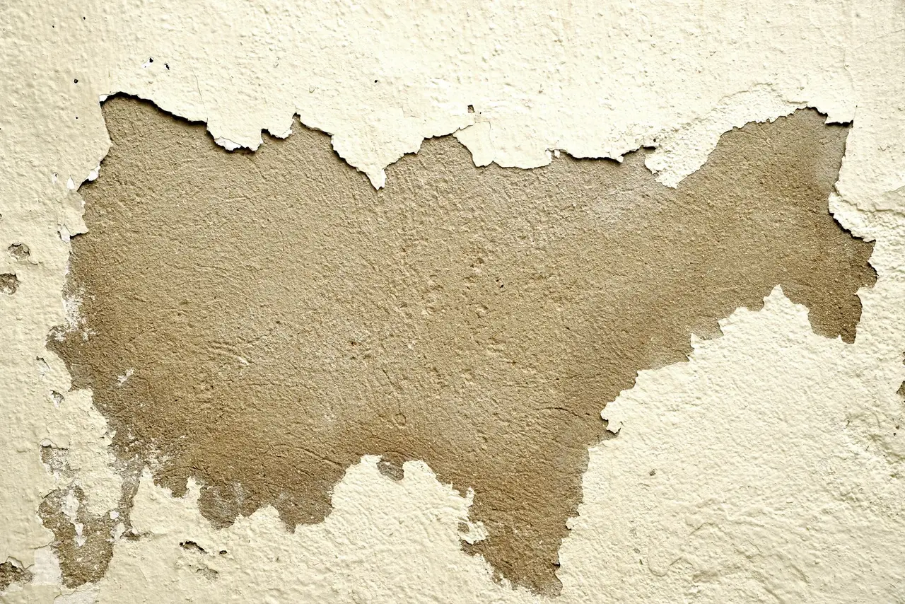 Bedroom Ceiling Water Damage Repair in Freeport