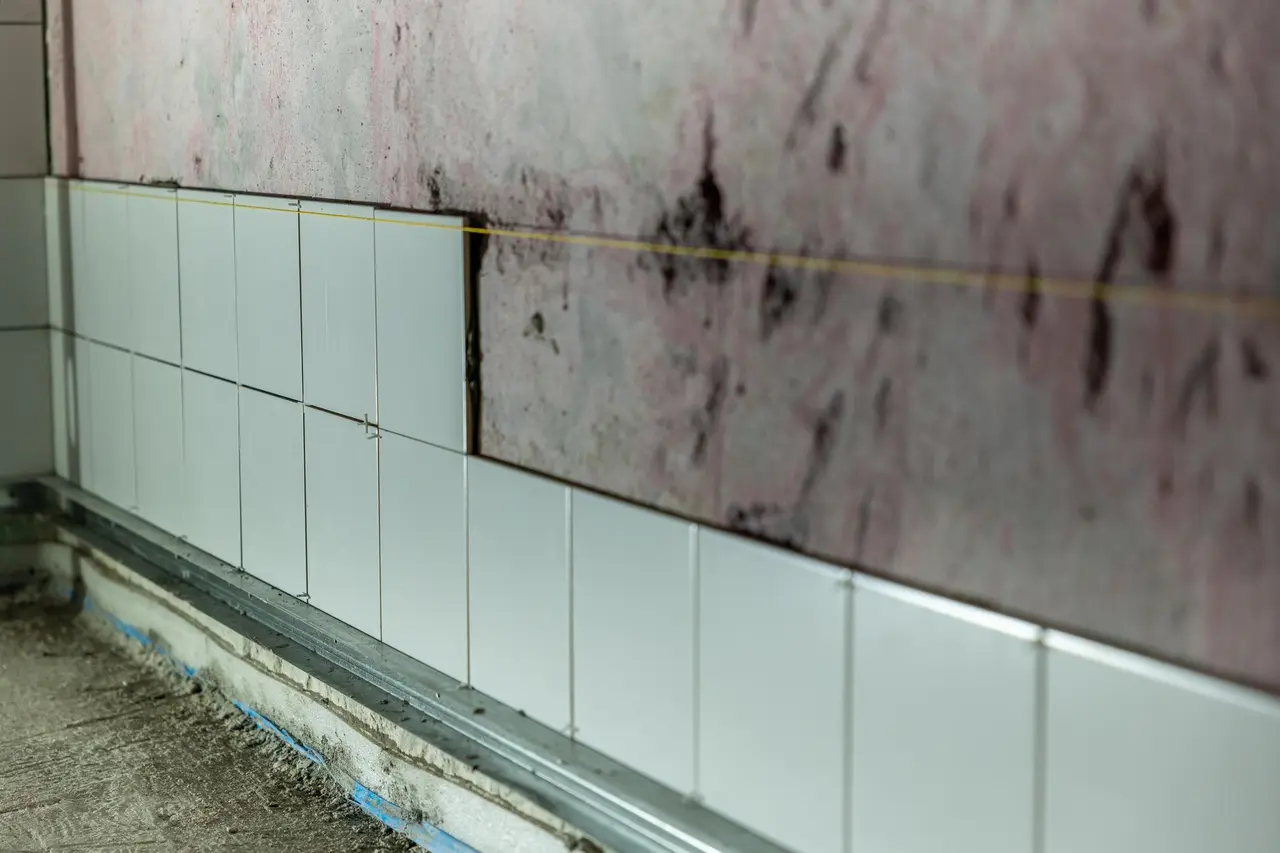 Ceiling Mold Remediation in Freeport